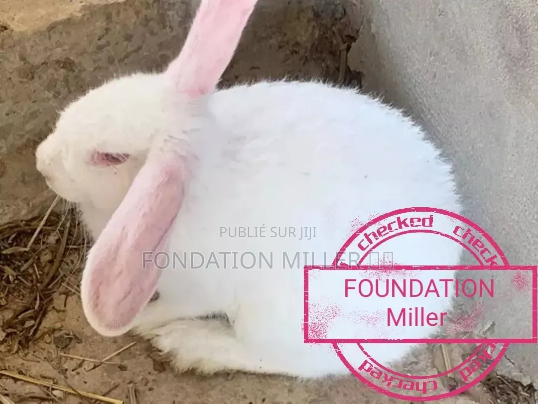 Fondation Miller 