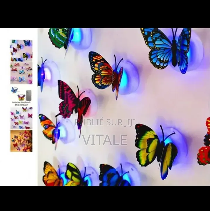 Papillon Lumineux