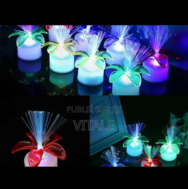 Pots De Fleurs Lumineux