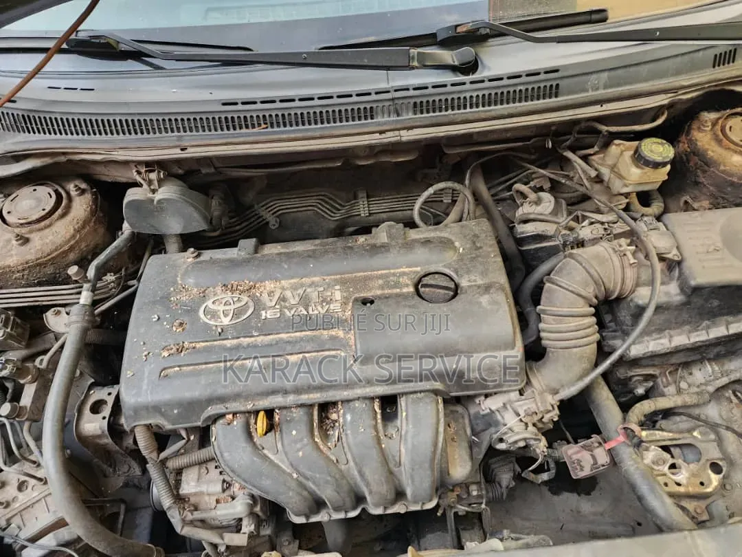 Toyota Corolla 2019 Vert