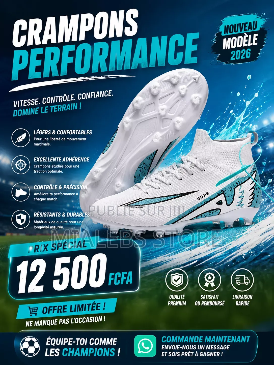 Crampons Professionnel