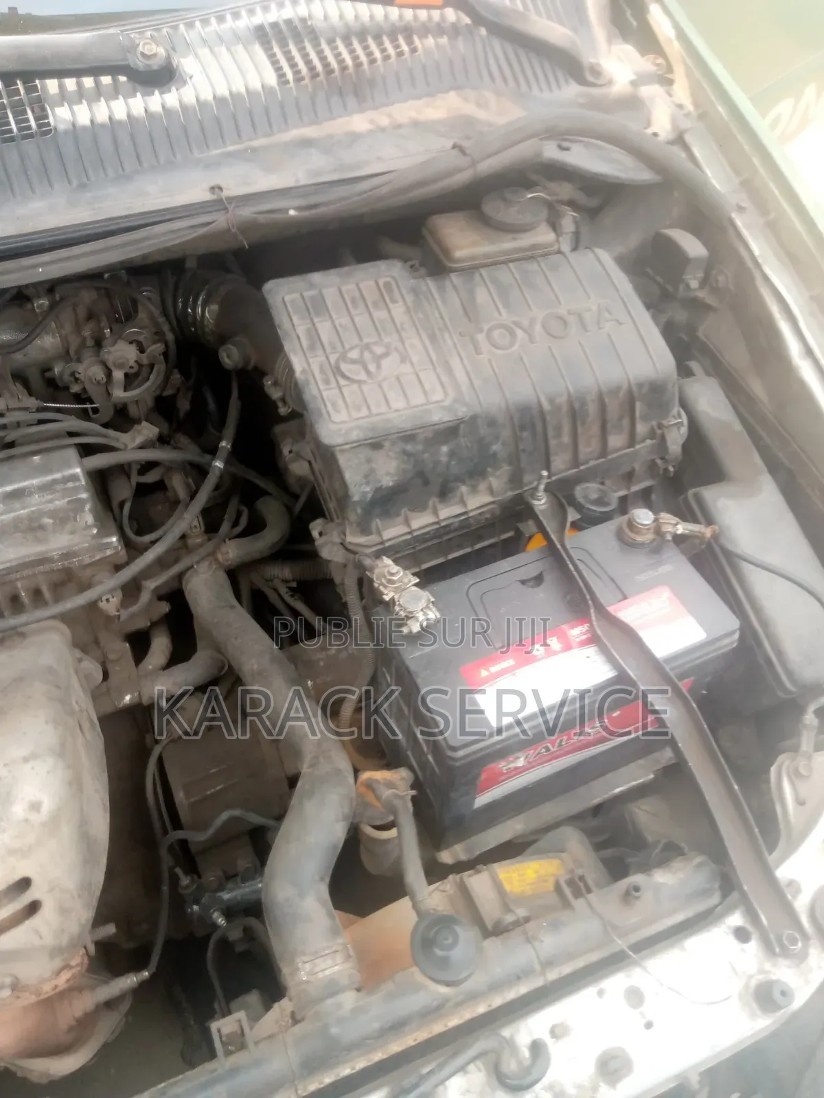 Toyota Picnic 2020 Vert