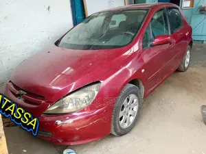 Peugeot XP 2018 Rouge
