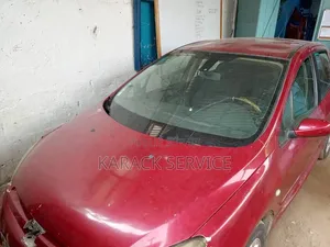 Peugeot XP 2018 Rouge