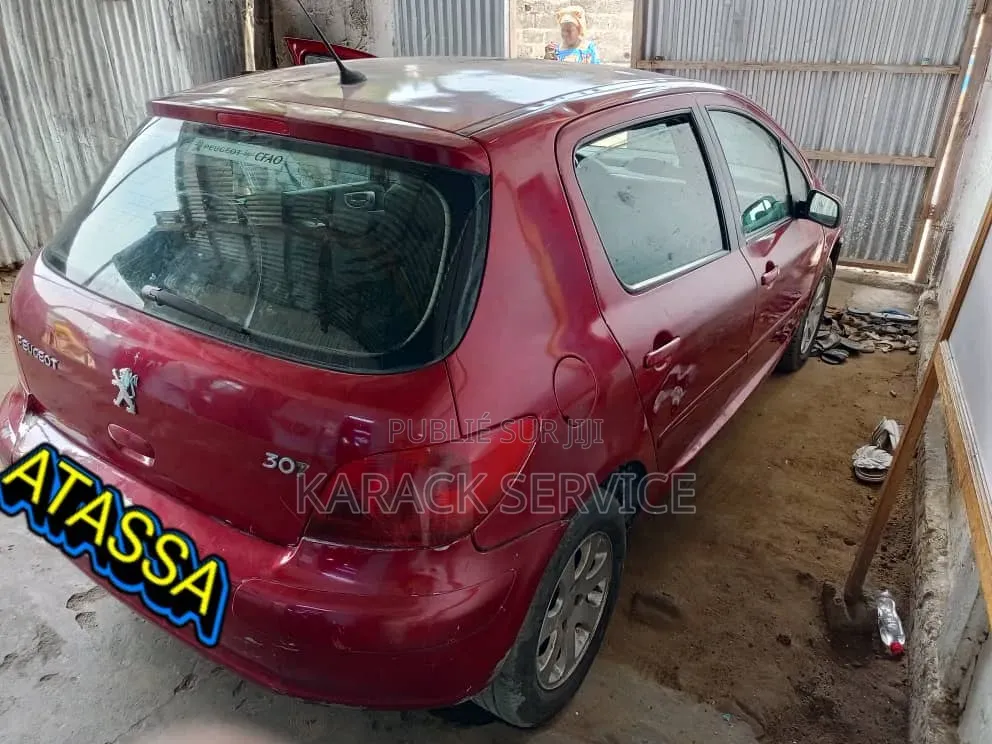 Peugeot XP 2018 Rouge