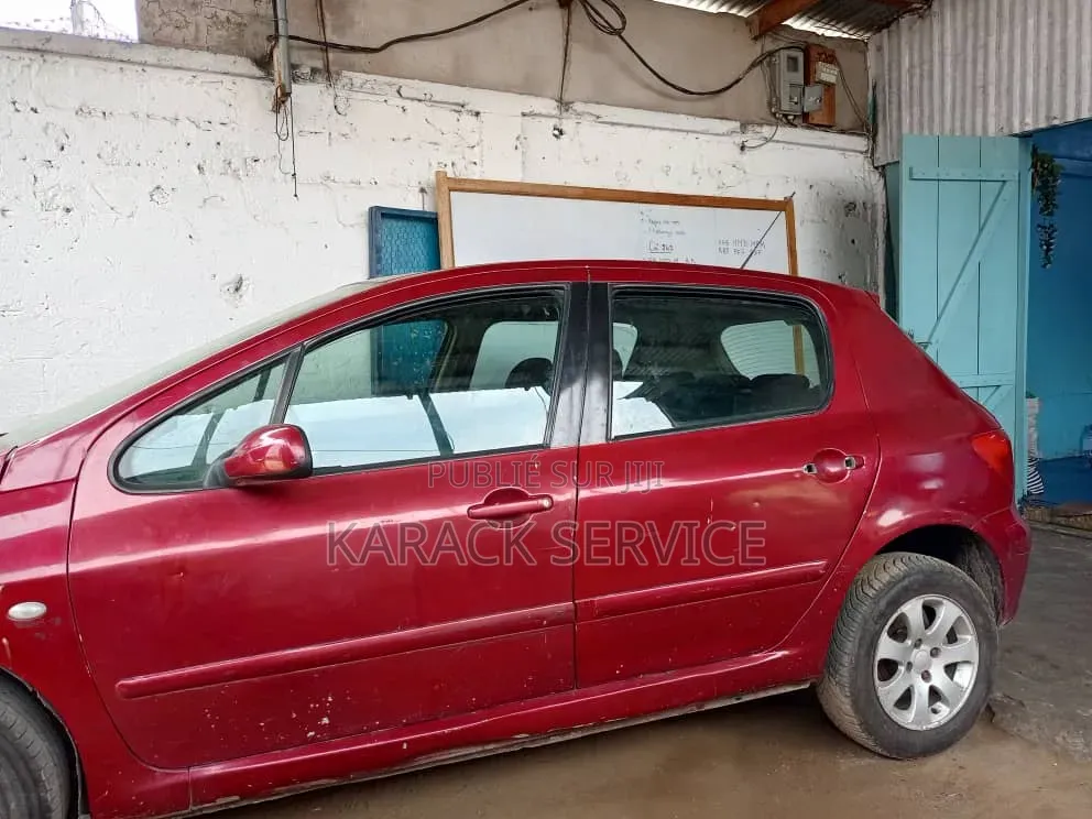 Peugeot XP 2018 Rouge