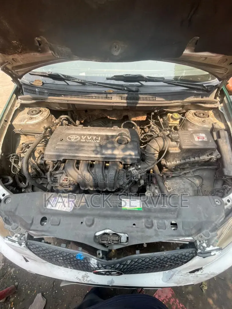 DR DR5 2018 Vert