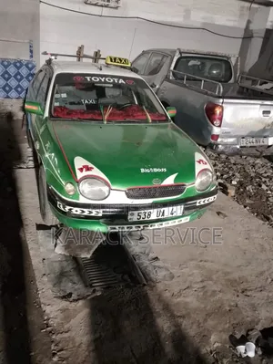 DR DR5 2018 Vert