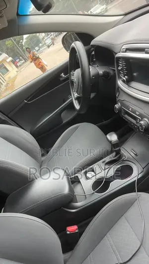 Kia Sorento 2019 Rouge