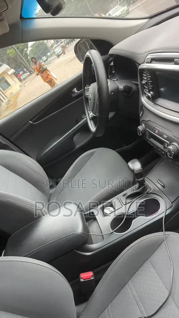 Kia Sorento 2019 Rouge