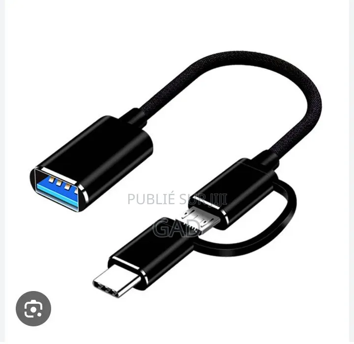 Adaptateur Otg